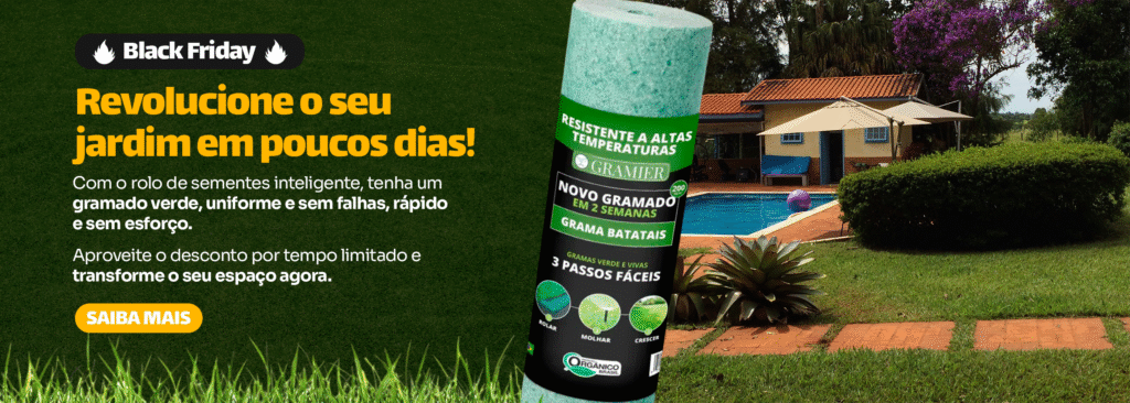 Banner Editado Black Friday